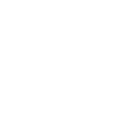 Flutter